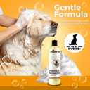 Wagzer Highly Concentrated 16oz Dog Shampoo | Makes up to 3.2 Gallons | Coconut-Based with Vitamin E, Omega 3 & 6 | Nourishes Coat, Reduces Excess Shedding | Made in USA for All Dog Breeds