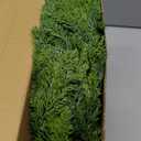 Real Touch Christmas Cedar Garland - Artificial Christmas Garlands Faux Pine Garland for Fireplace, Table, Stairs, Mantle, Window, Indoor Outdoor, Home, Holiday Decor(1 PCS, 6 FT)