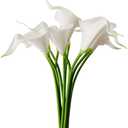 SHUYUNGE 7pcs Calla Lily Lataex Real Touch Flower Bridal Wedding Bouquet for Wedding Garden Dining Table Center Home Party Flower Arrangement Photography Decor (White)