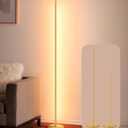 EDISHINE LED Corner Floor Lamp, Modern Slim Dimmable Light, Adjustable Height, 57.5" Minimalist Tall Lamp for Living Room, Bedroom, Office, 3000K Warm White Light (Gold)