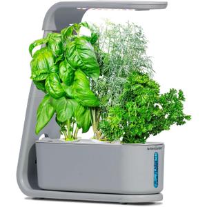 AeroGarden Sprout with Gourmet Herb Seed Pod Kit - Indoor Garden with LED Grow Light, Cool Gray