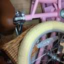 Glerc Little Molly 12-20 Inch Kids Retro Cruiser Bike for 2-13 Year Old with Wicker Basket & Training Wheels/Kickstand, Multiple Colors, 14 Inch