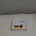 MR.SIGA Mini Dustpan and Brush Set, Portable Cleaning Brush and Dustpan Combo with Bamboo Handle, Black, 1 Set