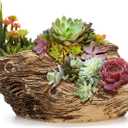 Noamus Artificial Driftwood Planter, Sculpture Resin Succulent Flower Pot, Imitation Wood Pile Porous Bonsai Tree Plant Pot, Decorative Rustic Stump Cactus Container for Garden Indoor