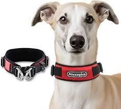 AnccoPlus Comfort Walking Dog Collar Size S Color Red