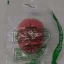 NOVELTY GIANT WWW.NOVELTYGIANT.COM Bloody Brain Plastic Halloween Horror Haunted House Prop