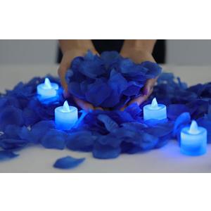 LANKER 500 PCS Blue Artificial Rose Petals with 24 PCS Bright Flickering Blue Flameless LED Tea Lights Candles (Blue Lights with Blue Rose Petals)