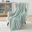 Bedsure Fleece Blanket Twin Size Sage Green - 300GSM Lightweight Plush Fuzzy Cozy Soft Warm Blanket for Bed, Sofa, Couch, Travel, Camping, 60x80 inches (Twin (60" x 80"))