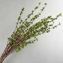 3Pcs Artificial Branches with Green Buds 38" Evergreen Faux Plastic Plant Stem for Vase DIY Home Office Party Indoor Outdoor Fall Decor (Green)