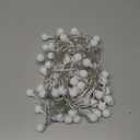 33ft 80 LED Globe String Lights – USB Powered Warm White Fairy Lights for Bedroom, Patio, Wedding, Party & Indoor Outdoor Decor