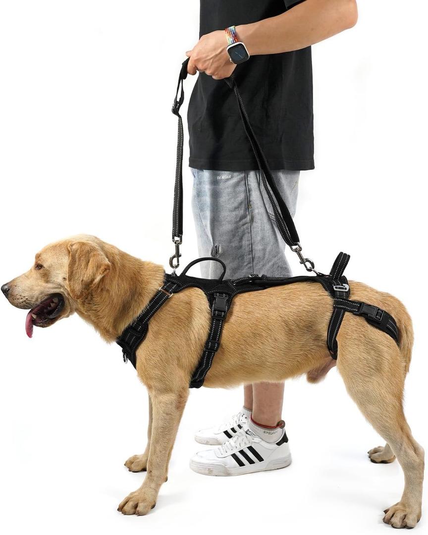 COODEO Mobility Dog Lift Harness, Support Sling & Walking Sling for Dogs, Pet Rear Leg Rehabilitation Support Vest, Dog Carrier for Senior Dogs with Joint Injuries, Arthritis, Up Stair (Black, S)
