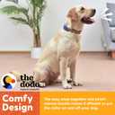 The Dodo Cork Dog Collar, Stripe, Size Large; Cork Material Collar for Dogs, Everyday Pet Apparel; Adjustable Snap Together, Pinch Release Buckle Collar (Blue)