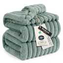 Bedsure GentleSoft Blankets Queen Size for Bed - Cozy Soft Blankets for Women, Cute Large Fleece Throws for Girls, Sage Green, 50x60 Inches