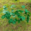 ATFL Fake Tropical Monstera Plant,6 Pcs 32'' Faux Monstera Plant,Artificial Palm Plants Indoor Without Pot (Green)