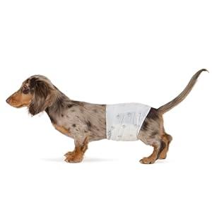 mazon Basics Absorbent, Leakproof Male Dog Wrap Disposable Diapers with Wetness Indicator, Breathable, Small, White, 50-Pack