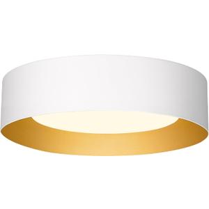 AUTELO Close to Ceiling Light Fixture, 14" Frosted Glass Shade Flush Mount Ceiling Light in White Finish E26 Socket for Living Room Hallway Bedroom C3336XS WH