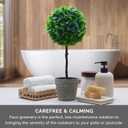Elements Artificial Boxwood Topiary, 17 Inch (Multicolored)