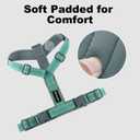 Plutus Pet No Pull Dog Harness, Adjustable Nylon Harness with Soft Padding, Reflective and Heavy Duty Dog Harness for Small, Medium, Large Dogs(Teal, L)