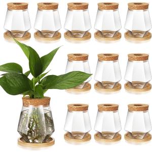 Baderke 12 Packs Propagation Vases for Plants Plastic Plant Propagation with Hole Lid and Bamboo Stand Growing in Water Hydroponic Home Office Desktop Vase Decoration (Cup Style)