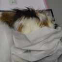 FancyQueen Faux Fur Boots for Women Knee High Furry Heel Boots Fashion Pointed Toe Snow Winter Boot Warm Women Boot (8, White)