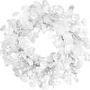 National Tree Company Artificial Christmas Wreath, White, Winter Frost, 24 inch