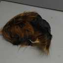 Realistic Latex Gorilla Mask Animal Chimp Mask Halloween Costume Adult Fancy Dress Carnival Party