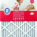 True Blue 312251.4 Allergen Air Filter, 4 Count (Pack of 1), White,"20x25x1"