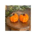 Pumpkin Salf And Pepper Shakers