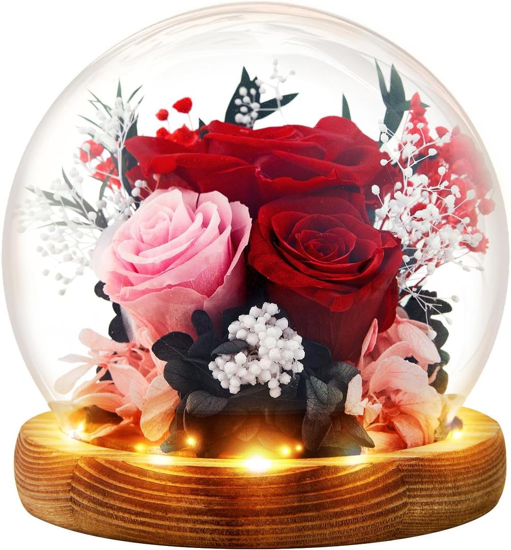Preserved Flowers Birthday Gifts for Women Forever Rose Gifts for Mom Grandma Wife Valentines Mothers Day Christmas Anniversary Eternal Light Up Red Roses in Glass Dome