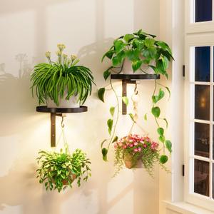 iDavosic.ly Wall Plant Holder with Grow Lights Set of 2 for Indoor Outdoor, Metal Hanger with 2 Hooks, Floating Flower Display Stand for Window, Space Saving & Easy to Assemble (Pots Not Included)
