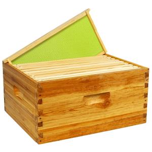 10 Frame Deep Brood Box Langstroth Bee Hive Box | 10 Pack, Unassembled 100% Dipped in Beeswax, Thickness 20 Mm, Include Beehive Frames and Wax Foundations