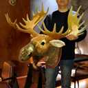 TRABEATOGA Life-size Moose Head Trophy Wall Dcor Wall Hanging Wall Decoration Creative Animal Wall Sculpture Faux Taxidermy Home Decor 35''W x 36.2''H