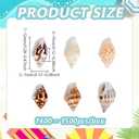PH PandaHall 1400-1500pcs Tiny Sea Shells 7-12mm Tiny Crushed Shells Miniature Shell NO Hole Seashells Ocean Spiral Seashells for Resin Crafting Candle Home Party Wedding Fish Tank Vase Filler