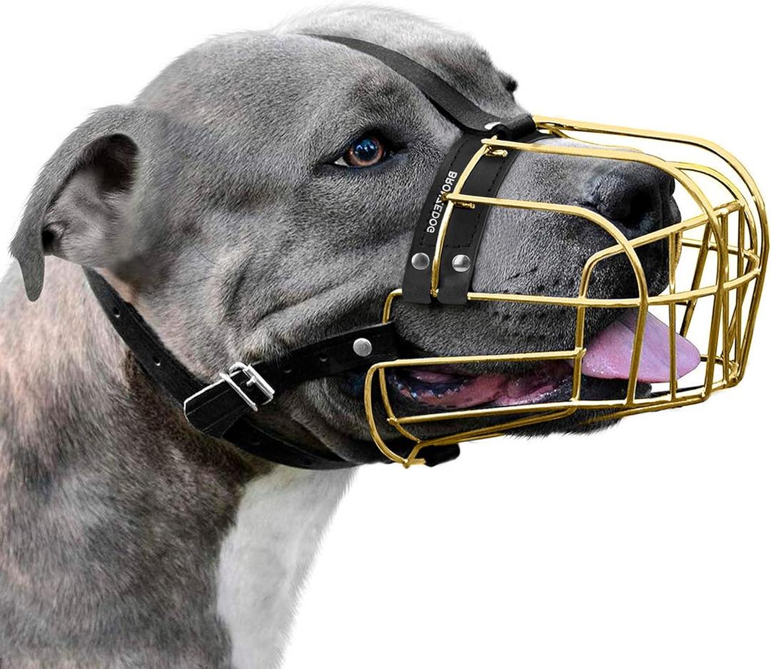 BRONZEDOG Pitbull Dog Muzzle Metal Mask Amstaff Wire Basket Pit Bull Adjustable Leather Straps for Large Dogs (Gold)