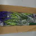 Geegoods Artificial Plants Flowers Outdoor 24 Bundles UV Resistant Faux Lavender Flowers with Monkey Grass for Garden Porch Window Patio Hanging Planter Decor