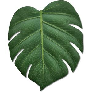 BKKDecor | Leaf Coasters for Drinks | Monstera Coaster Set of 6 | Tropical Leaf Decorations for Home | Gift Ideas Party Table Decor. (Monstera)