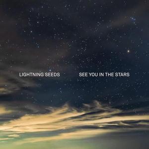 See You in the Stars, Vinyl