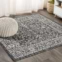 JONATHAN Y Vine & Border Indoor Outdoor Square Area Rug 5X5 Black/Gray, Palazzo Textured Weave for Backyard, Patio, Porch, Easy-Cleaning, High Traffic, Pet-Friendly, Non-Shedding (SMB103C-5SQ)