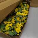 J'FLORU Artificial Large Spring Wreath 28 Inch Summer Wreaths for Front Door Yellow Daisy Wreath for Indoor Outdoor Home Decor and Easter Celebration