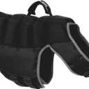 Terrain Dog Swim Vest for Dogs (Large, Gray/Black)
