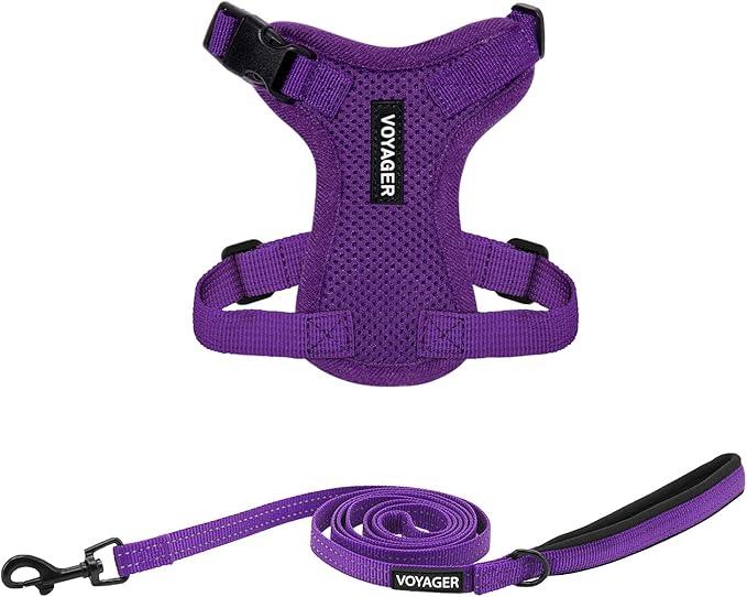 Voyager Step-in Lock Adjustable Cat Harness w. Cat Leash Combo Set with Neoprene Handle 5ft - Supports Small, Medium and Large Breed Cats by Best Pet Supplies - Purple, XXXS