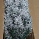 5FT Prelit Flocked Christmas Tree with Light, Snowy Pine Design, 200 Warm White LED Lights, Hinged Branches, Metal Stand, Realistic Artificial Xmas Tree for Indoor Holiday Decoration