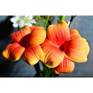 Birthday Gifts for Women 8pcs Orange Flowers PU Real Touch Flowers Women's Gifts for Christmas Artificial Flowers for DIY Birthday Gifts Wedding Gifts Home Decor Table Centerpiece (104)