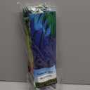 57inch Parrot Kite with Long Tails Easy to Fly with Flying Lines