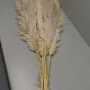 46" inch 10 Stems Natural Pampas Grass Decor Tall, Pompas Grass, Tall Pampas Grass for Weddingm, Farmhouse, Boho Home Decor (Beige)