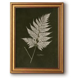 Bzstyleart Vintage Wall Art Decor Bedroom,Vintage Gold Framed Artwork,Fern Leaves Botanical wall Art Living Room,Canvas Picture Painting Room Decor Aesthetic,12 x 16 Inch