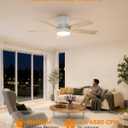 42 Inch Low Profile Ceiling Fan with Light and Remote, Black