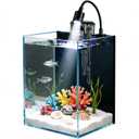 Betta Fish Tank kit, Small Nano Glass Fish Tank Start Kit with Filter, LED Light for Shrimp, Small Fish, Betta (1.5 Gallon)