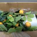 Jexine 2 Pack Artificial Lemon Tree 5 ft Tall Fake Plant Pre Potted Faux Lemon Tree Realistic Fruits for Indoor Home Decor Office Living Room