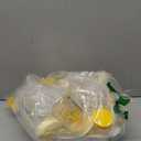 Medela Breast Milk Storage Solution Set, Breastfeeding Supplies & Containers, Breastmilk Organizer, Made Without BPA